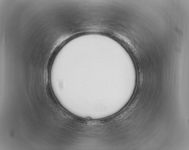 X0000115711267200912101229