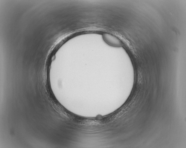 X0000115711270200912101229