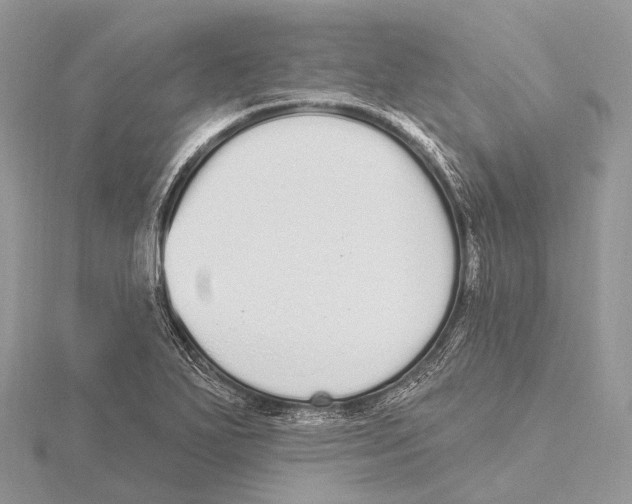 X0000115711271200912101229