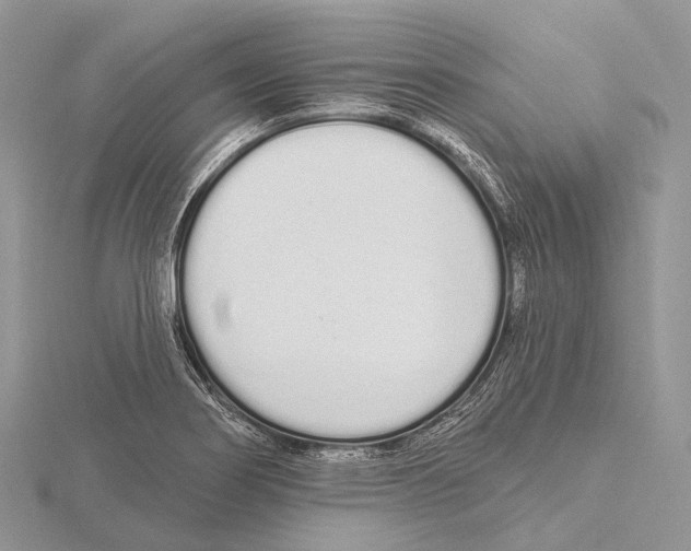 X0000115711274200912101229