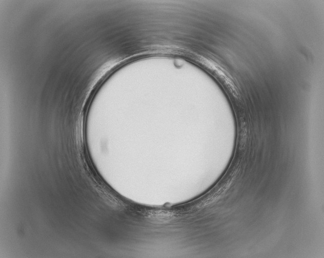 X0000115711275200912101229