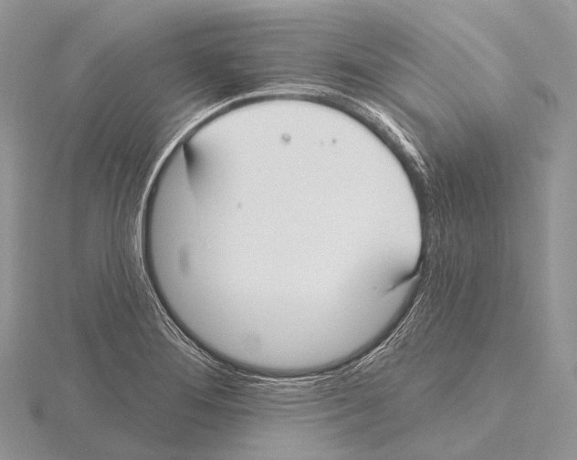 X0000115711276200912101229