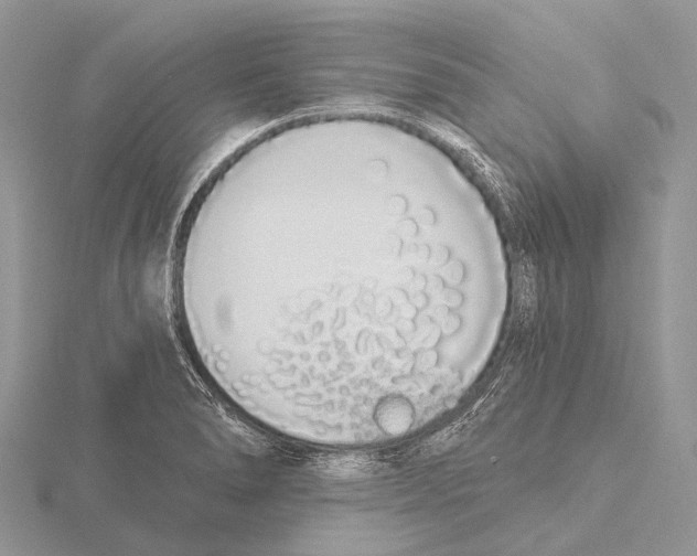 X0000115711278200912101229