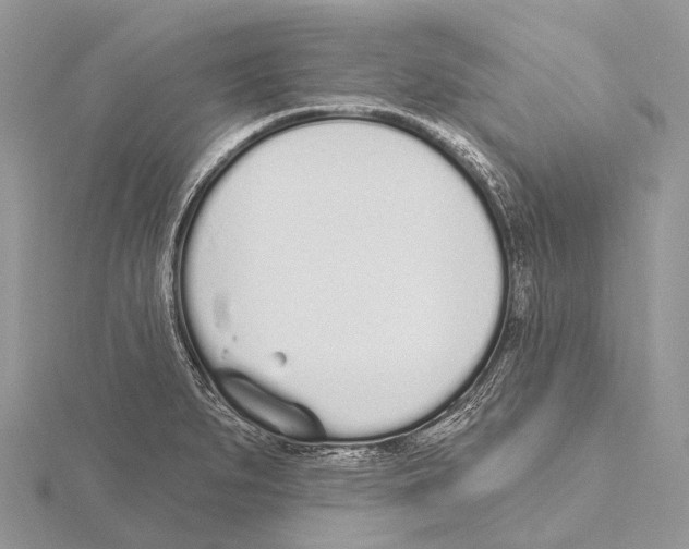 X0000115711279200912101229