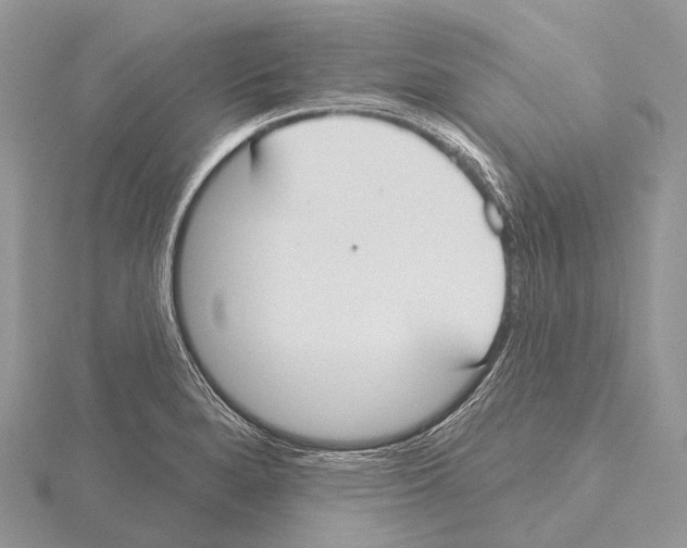 X0000115711280200912101229