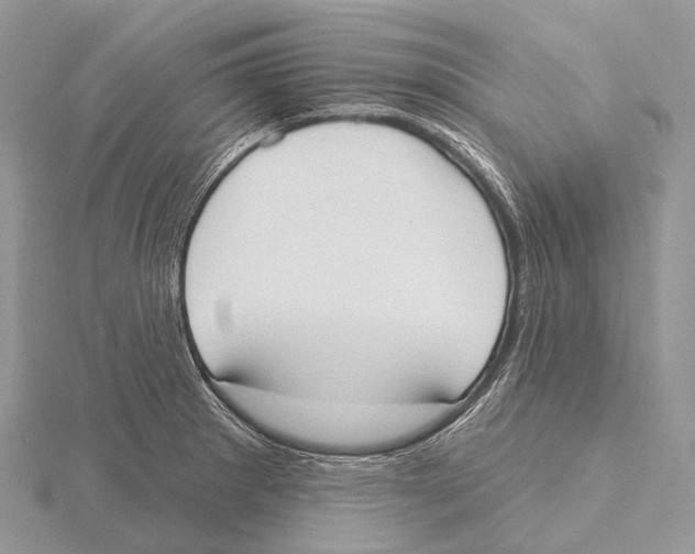 X0000115711281200912101229