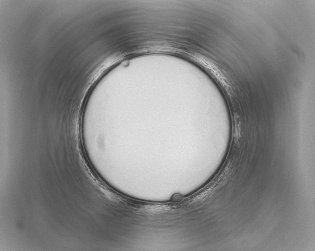 X0000115711282200912101229