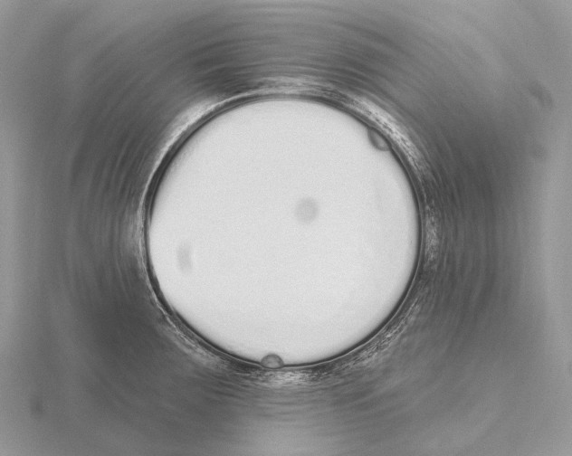 X0000115711283200912101229