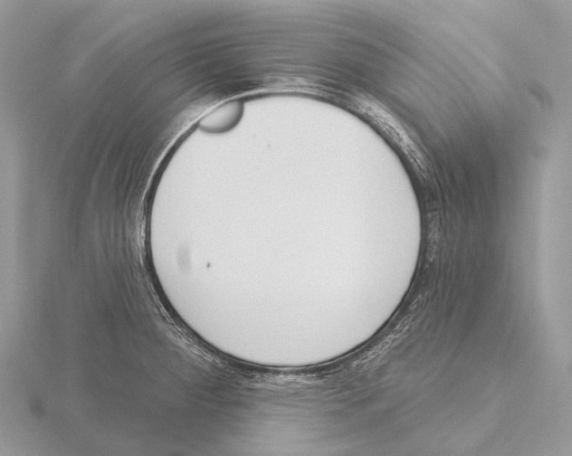 X0000115711284200912101229