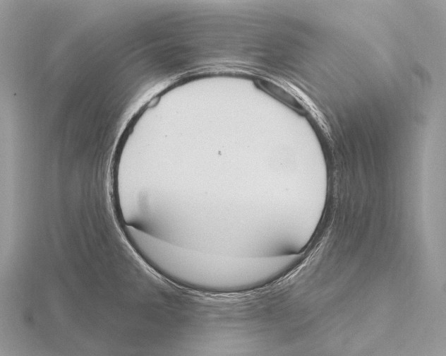 X0000115711285200912101229