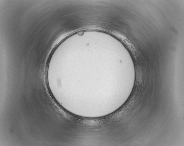 X0000115711286200912101229