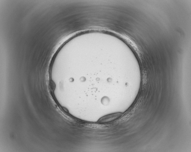 X0000115711287200912101229