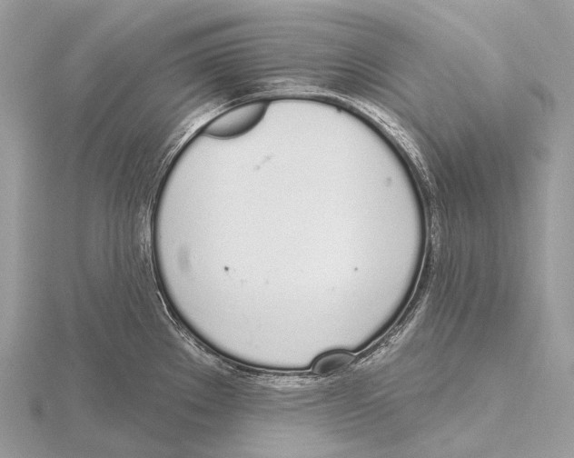 X0000115711289200912101229