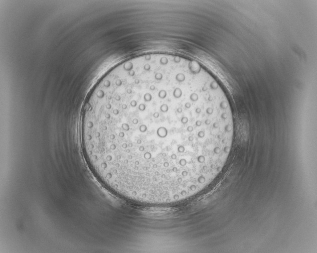 X0000115711290200912101229