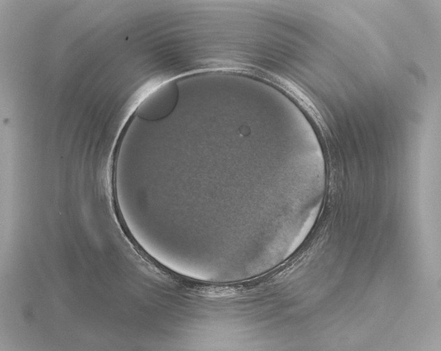 X0000115711291200912101229