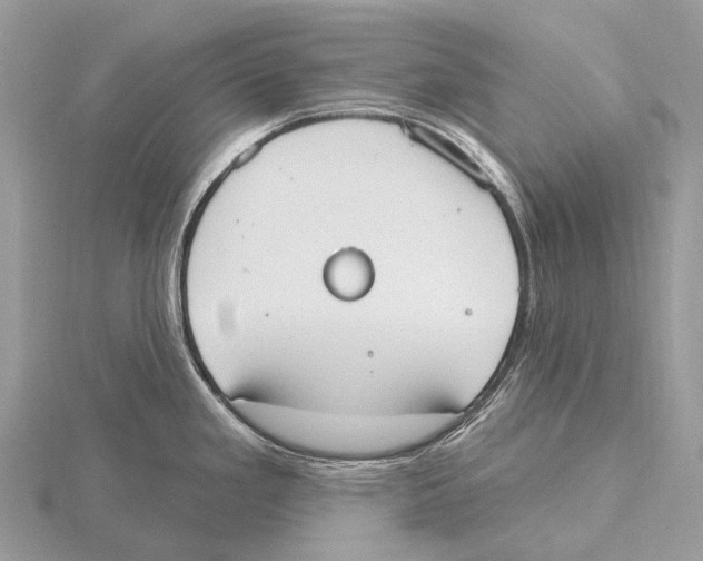 X0000115711293200912101229