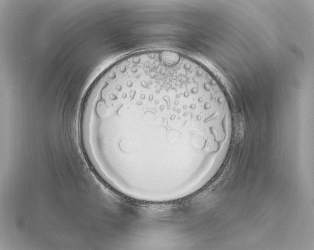 X0000115711294200912101229