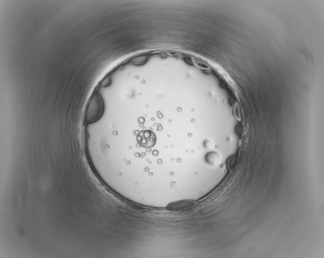 X0000115711295200912101229