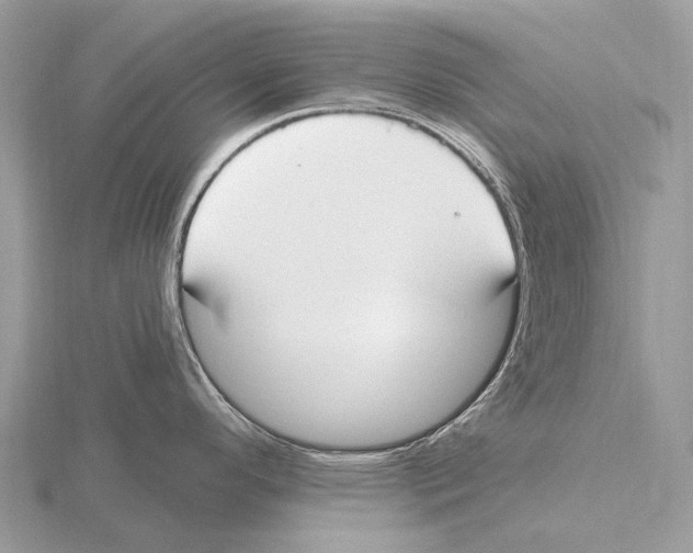 X0000115711296200912101229