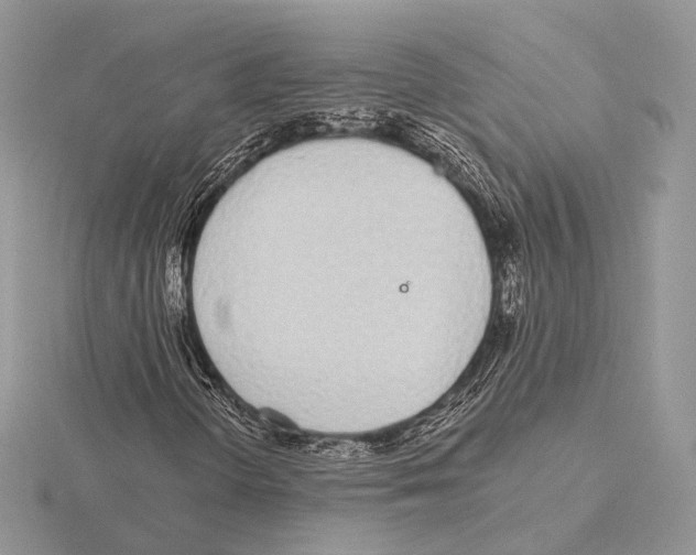 X0000115711298200912101228