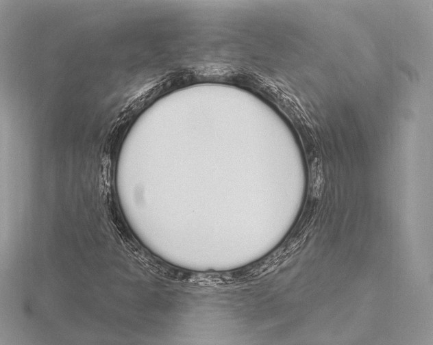 X0000115711301200912101228