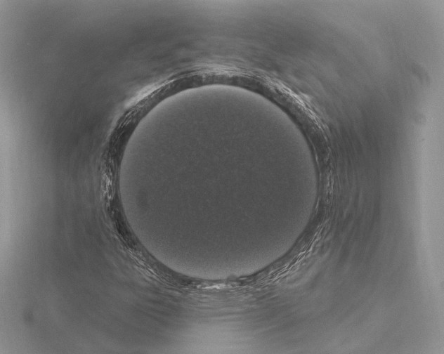 X0000115711303200912101228