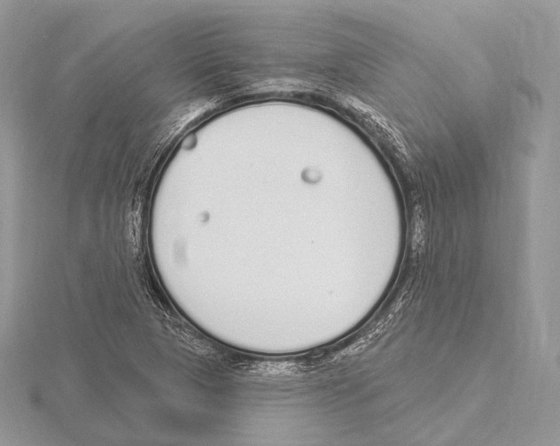 X0000115711313200912101228