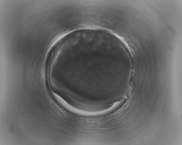 X0000115711319200912101228