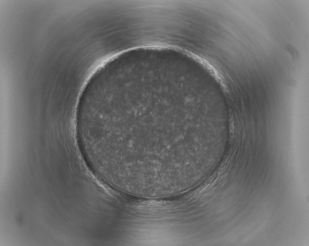 X0000115711327200912101228