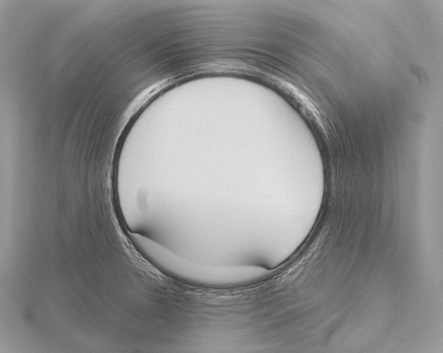 X0000115711330200912101228