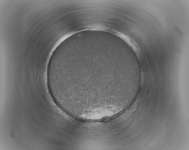 X0000115711331200912101229