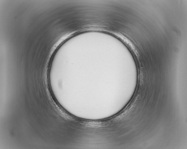 X0000115711333200912101229