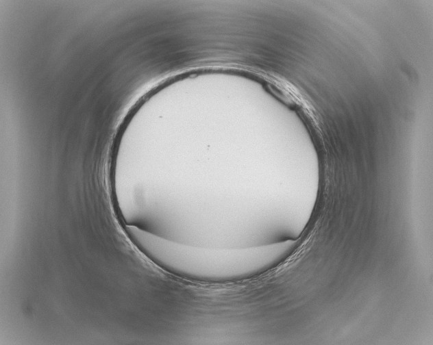 X0000115711334200912101229