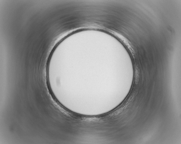 X0000115711335200912101229