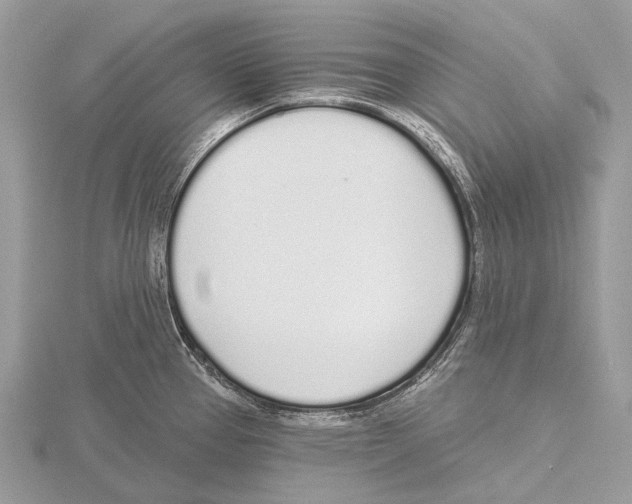 X0000115711337200912101229