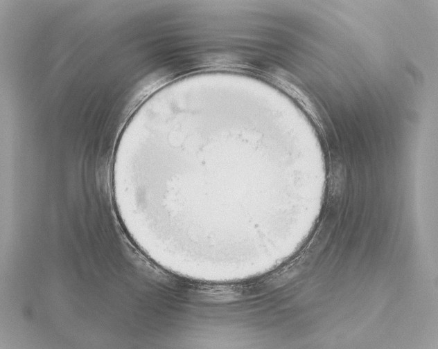 X0000115711338200912101229