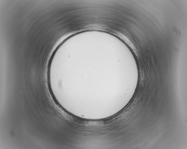 X0000115711339200912101229