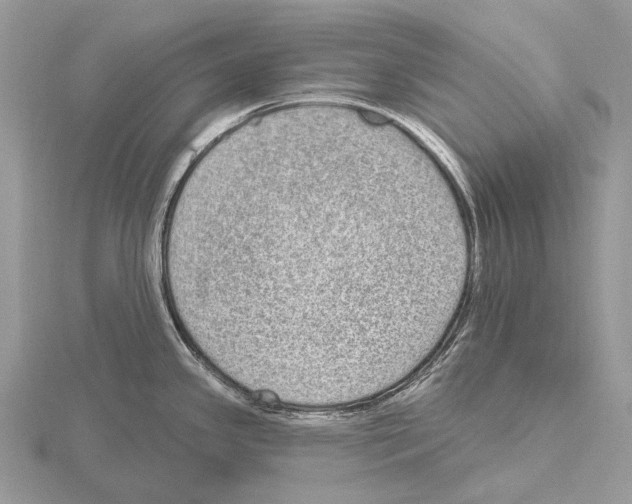 X0000115711341200912101229