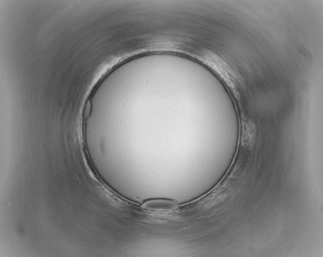 X0000115711342200912101229