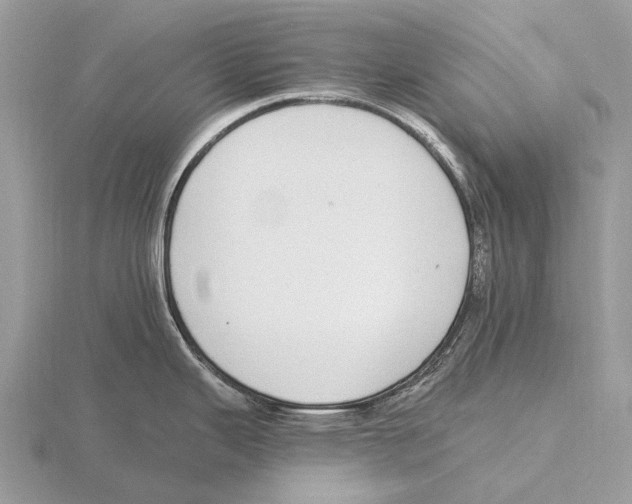 X0000115711343200912101229