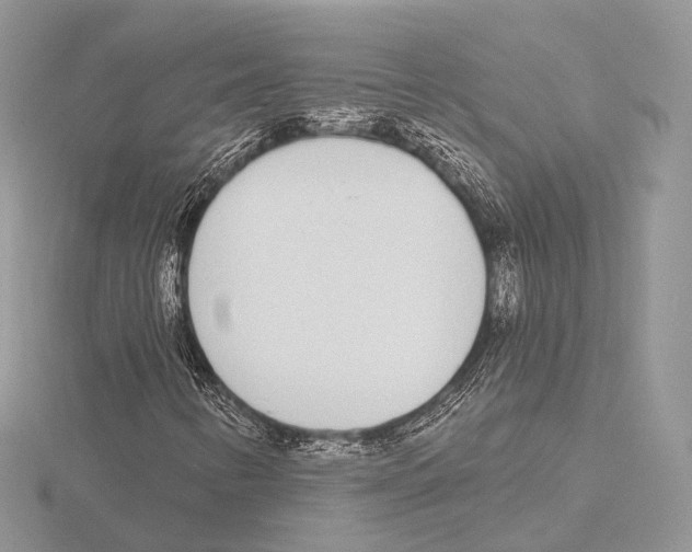 X0000115711346200912101228