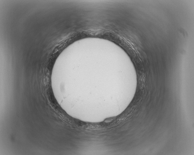 X0000115711349200912101228