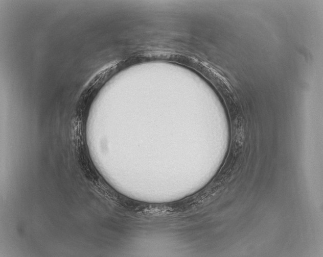 X0000115711351200912101228