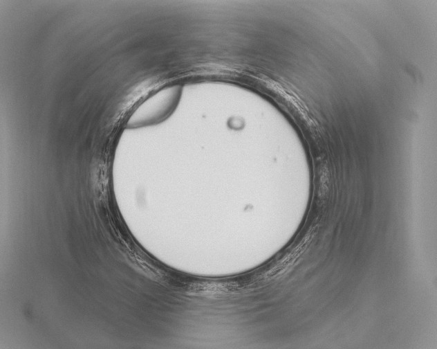 X0000115711355200912101228