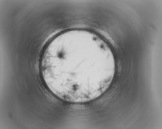 X0000115711356200912101228