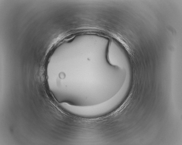 X0000115711357200912101228