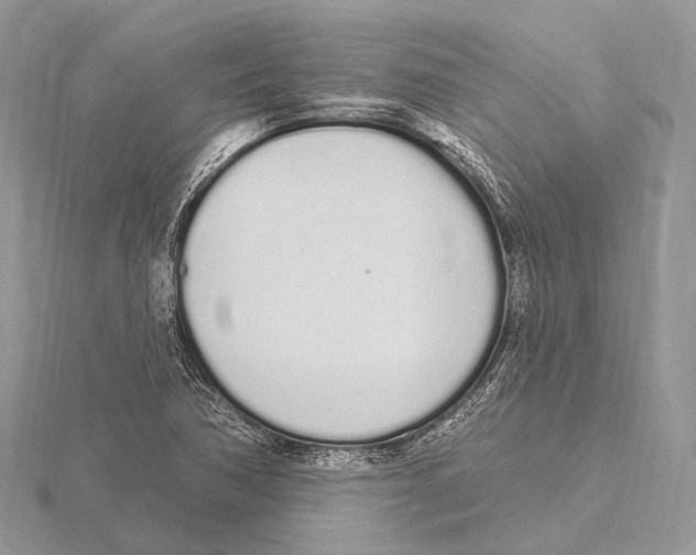 X0000115711362200912101228