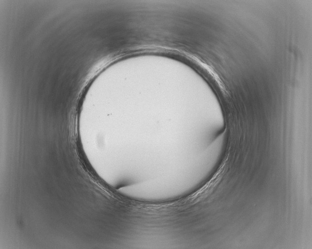 X0000115711365200912101228