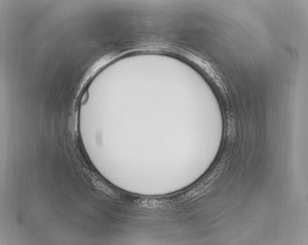 X0000115711366200912101228