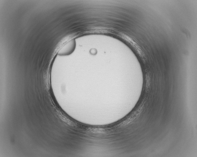 X0000115711370200912101228